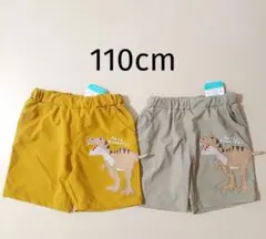 新品 サラサラ 夏用 恐竜パンツ 110cm 二枚セット 色違い ダイナソー