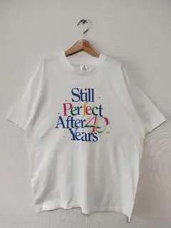 301 90s USA製 メモリアル メッセージ シングルステッチ Tシャツ