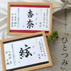 命名書オーダー　水引フレーム「ひとつみ」