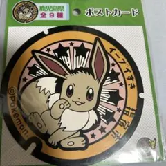 イーブイ ポストカード １枚