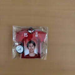 バレーボール型キーホルダー 甲斐優斗