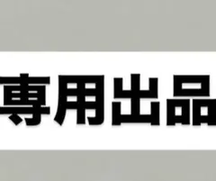 専用出品
