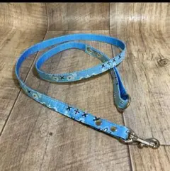 Item thumbnail for item f1dd4708-f2b4-4513-b5e0-3ca735e308eb