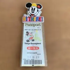 東京ディズニーランド 入園パスポートケース　ミニーマウス　レトロ