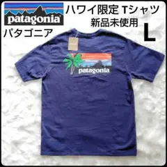 ✨新品未使用✨パタゴニア★ハワイ限定★Tシャツ★ネイビー★タグ付★極美品のサムネイル