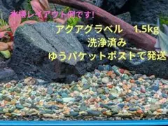 アクアリウム 水草 ADA 低床 砂　アクアグラベル 1.5kgのサムネイル