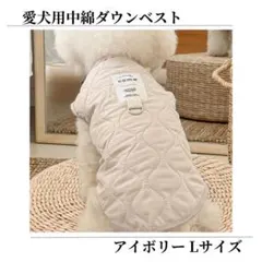 Item thumbnail for item ea78ec2e-1bcf-404c-b34c-f02a77b5db29