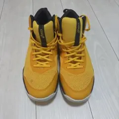 アシックス　バスケットボールシューズ 「LYTE NOVA 28.0cm