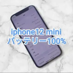 iPhone 12 mini 64GB SIMフリー バッテリー100％ 美品