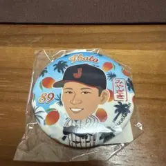 侍ジャパン 宮崎
