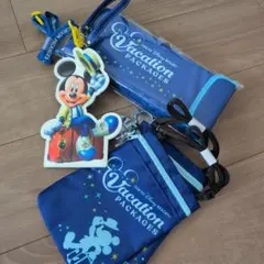 東京ディズニーリゾート バケーションパッケージ　ポータブルクッションセット
