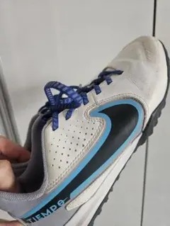 Item thumbnail for item 50578dfe-2ebc-46b8-8e21-dd01f96550ef