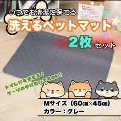 Item thumbnail for item a32dde2d-d22c-40d7-ac65-717ca0ce1dd3