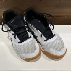 アシックス　ジュニア　バレーボールシューズ　23.5cm 子ども　バレーボール