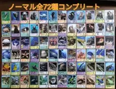 激レア】鳥羽水族館の生きものたち（鳥羽水族館70周年コレクション