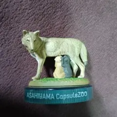 2025年最新】オオカミ 旭山動物園の人気アイテム - メルカリ