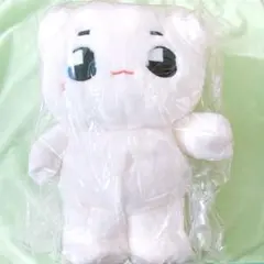 NCT127 イリチル 툥야 テョンヤ 10センチドール トレカケース テヨン 2025年最新】Tyongyaの人気アイテム - メルカリ