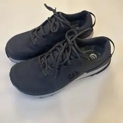 Item thumbnail for item dc105243-21b5-4bf7-8d68-5c7447ea8c45