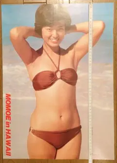 SUNTORY マグナムドライ樽生 ポスター 安田美沙子 1枚。 - メルカリ