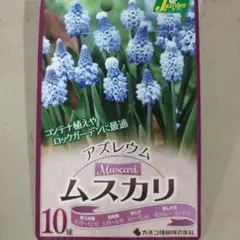 B♡プロフ必読！！様 リクエスト 2点 まとめ商品