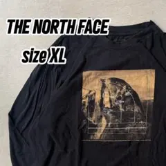 【希少デザイン】THE NORTH FACE ロンT ストリート アウトドア