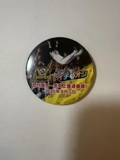 阪神タイガース　イチオシ　缶バッジ　優勝記念