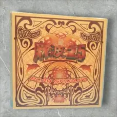 レコード　新品　PLAY GROUND　麻波25　⑯