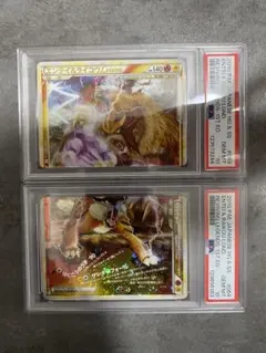 2025年最新】エンテイ＆ライコウ legendの人気アイテム - メルカリ