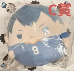 ハイキュー　くじメイト　ぬいくじ　C賞　影山飛雄