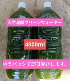 BB様 リクエスト 2点 まとめ商品
