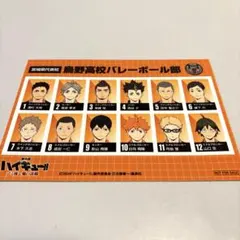 映画ハイキュー !!　入場者特典 第6弾 選手名鑑風ブロマイド烏野高校