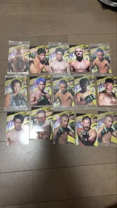 rizinウエハース スポーツカード