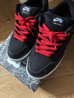 スペシャルボックス✨Wasted Youth × NikeSB Dunk Low
