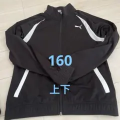 プーマジャージ　160 上下