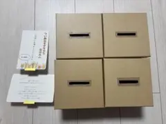 BGM当てクイズ　ドレス当て　ウェディング　お色気直し　ウェルカムスペース