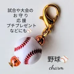 野球ボールベースボールチャーム