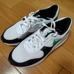 ナイキエアマックス　SYSTM 25.5