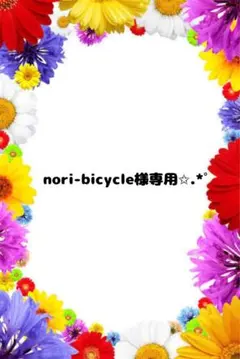 nori-bicycle様専用✩.*˚