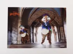 チップ デール スペフォ