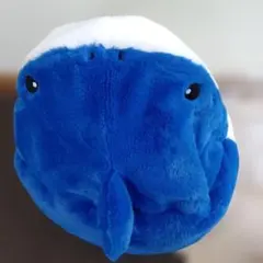 [圧縮、簡易包装]大きな口　サメさん クッション