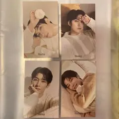 seventeen ウォヌ　Huxley カード5枚セット