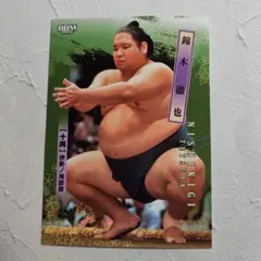 Item thumbnail for item 8566dd47-9920-404c-b0e9-d09355e153c8