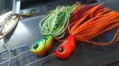 エバーグリーン Dゾーン 1/2 セットのサムネイル