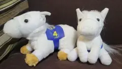 ソダシ アイドルホース スーパーサラブレッド ヴィクトリアマイル