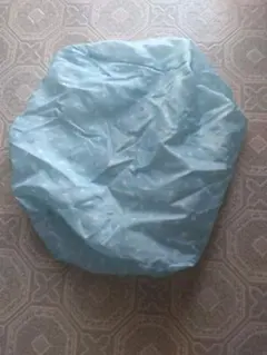 Item thumbnail for item 22defc40-6403-4477-a32c-edbb22e04b58