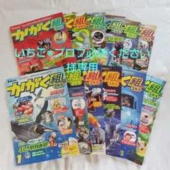 かがく組 3年生 1〜12号　いちご※プロフ必読ください様専用