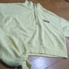 Item thumbnail for item 878ffc52-6ee0-4cb2-8f02-5c069d572f8f