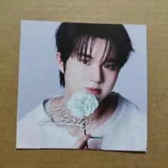 vivi ko1keyz 11月12月合併号 付録 切り抜き 柳谷伊冴　②