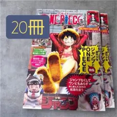 【20冊】ワンピース マガジン 20号 ルフィ プロモ無 【雑誌のみ】