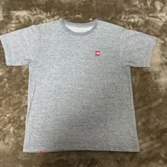 THE NORTH FACE gray T shirts